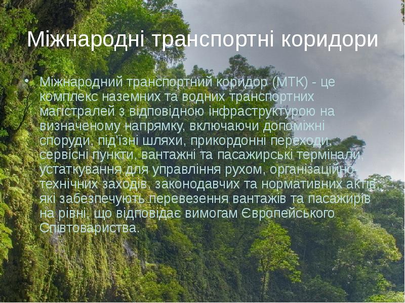 Транспортне обслуговування зовнішньоекономічної діяльності ...