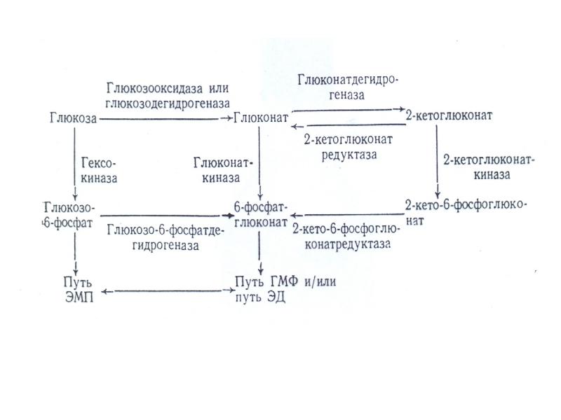 Аутогемотерапия с кальция глюконатом схема