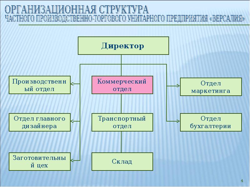 Производственное унитарное предприятие. Структура унитарного предприятия. Производственная структура унитарного предприятия. Организационная структура унитарного предприятия. Частные структуры.