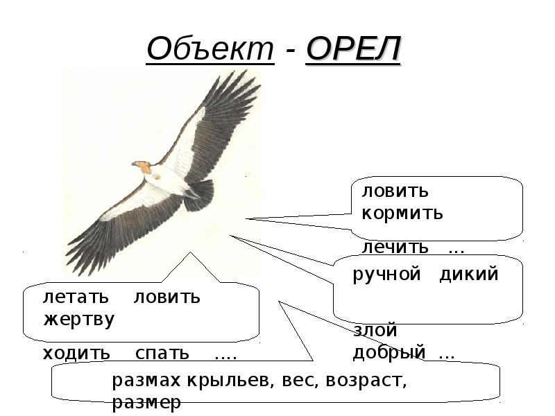 Презентация объекты окружающего мира 6 класс