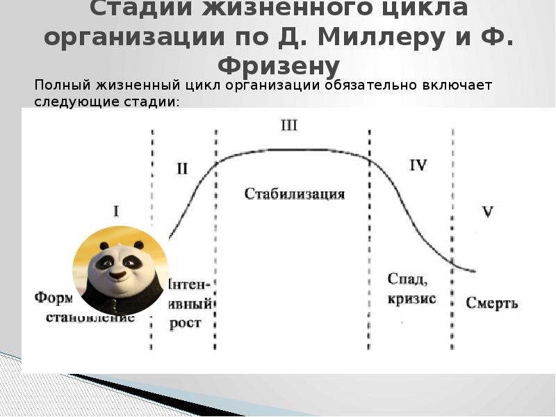 Стадии цикла организации