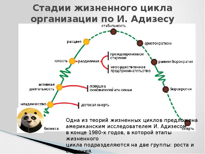 Презентация жизненный цикл организации