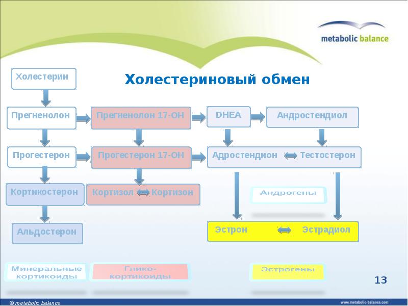 Нормы и режим питания нарушения обмена веществ презентация 8 класс пасечник