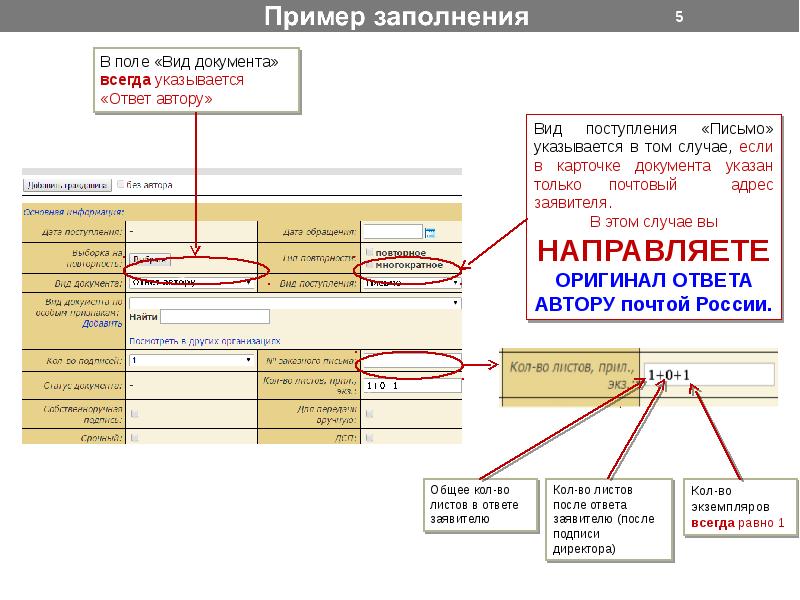 Порядок заполнения. Реквизиты обращения граждан. Поле Тип обращения. Документ о приходе письма. ДСП письмо расшифровка.