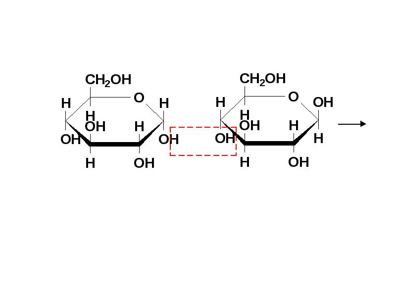Схема образования целлобиозы