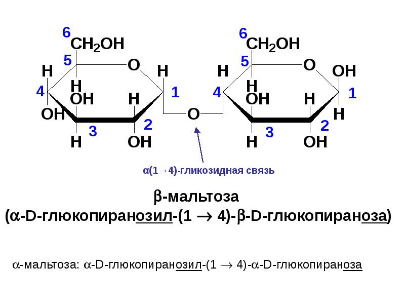 Моносахарид атф