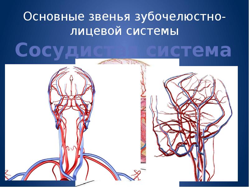 Отсасывающую систему