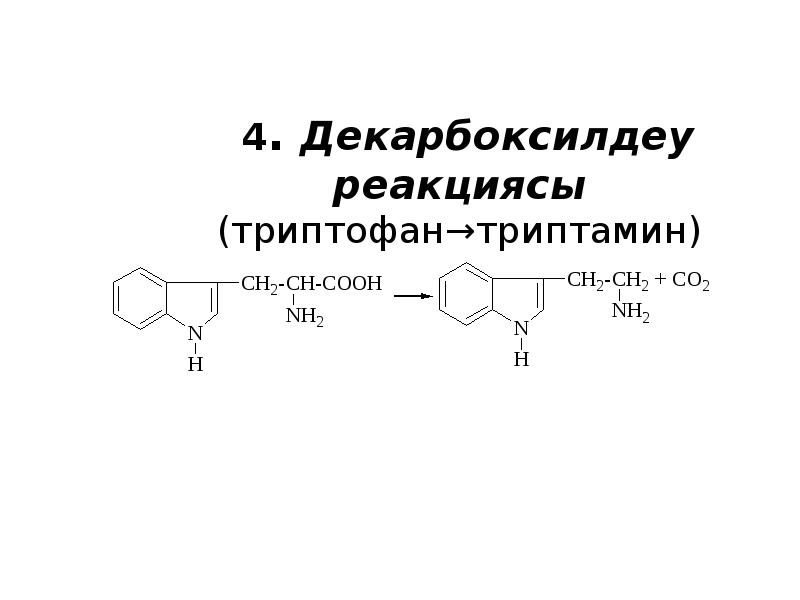 Амин қышқылдары презентация