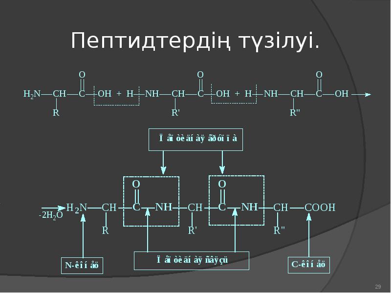 Амин қышқылдары презентация