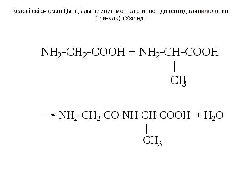 Гидролиз глицилаланина. Дипептид глицилаланин. Аминқышқылдары Альфа. Аминоқышқылдар. Глицилаланин класс.