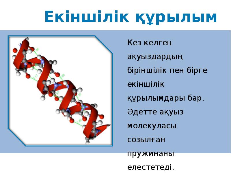 Амин қышқылдары презентация