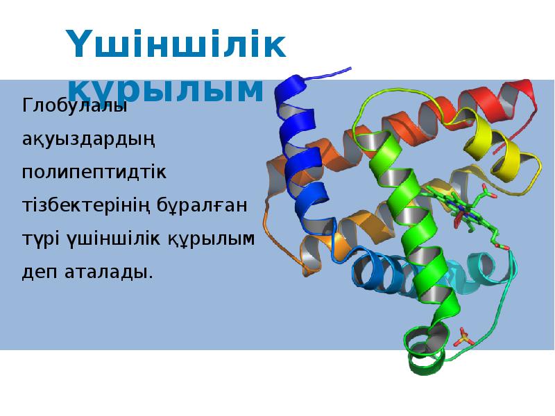 Ақуыз биосинтезі презентация