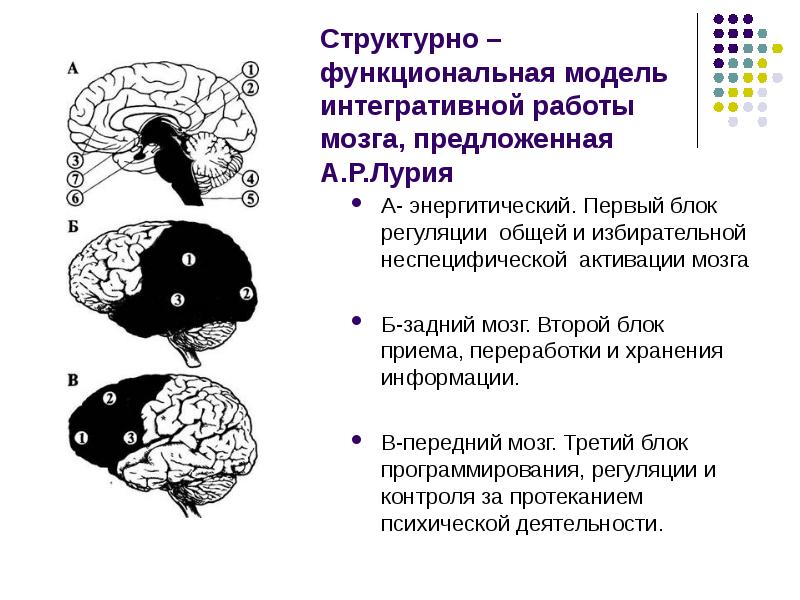 Классификация афазий по а р лурия