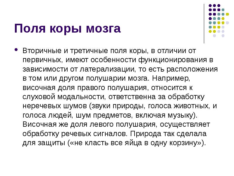 Первичные и вторичные проекционные зоны коры. Первичные и вторичные корковые поля. Карта цитоархитектонических полей коры головного мозга. Первичные, вторичные и третичные зоны коры. Локализация функций в коре полушарий большого мозга.