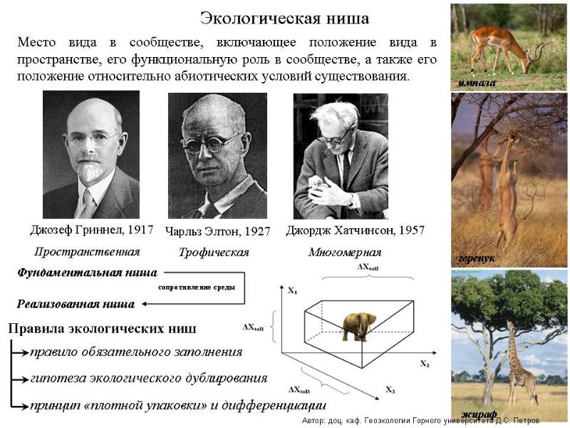 Трофическая структура биоценоза презентация