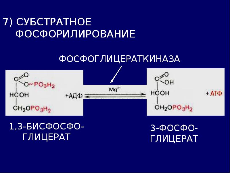 Субстратное фосфорилирование в гликолизе. Субстратное фосфорилирование АДФ. Фосфоглицераткиназа.