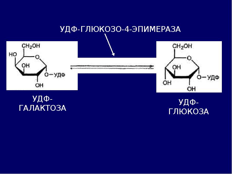 Гликолиз обмен. УДФ Глюкоза 4 эпимераза. УДФ Глюкоза формула. УДФ. УДФ-эпимераза.