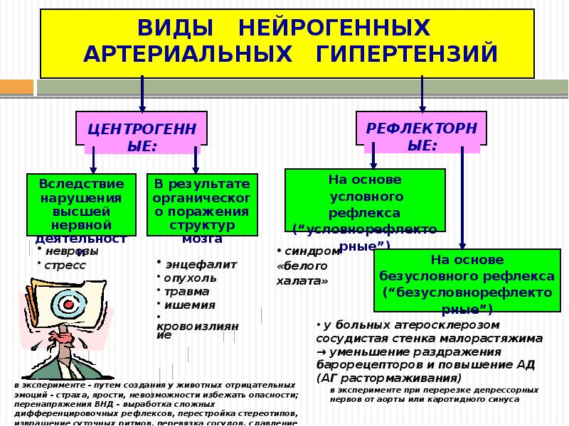 Симптоматическая артериальная гипертензия презентация