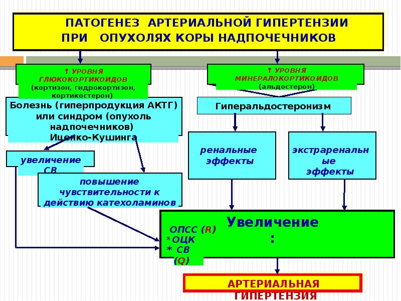 Этиология артериальной гипертензии