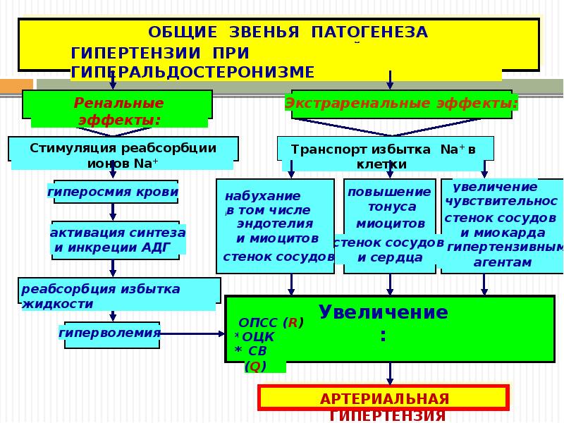 На интенсивность изображения мочевых путей влияют