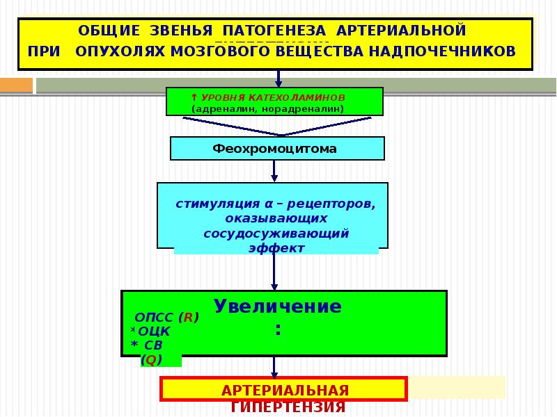 Артериальная гипертензия патогенез