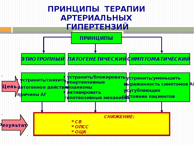 Патофизиология сосудистого тонуса презентация