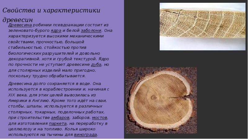 Благодаря дереву свойств. Свойства древесины. Характеристики дерева и древесины. Древесина и ее свойства. Доклад о древесине.