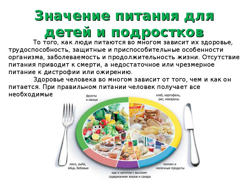 Урок питания. Значимость здорового питания. Важность правильного питания. Правильное питание детей и подростков. Правильный рацион питания для детей.