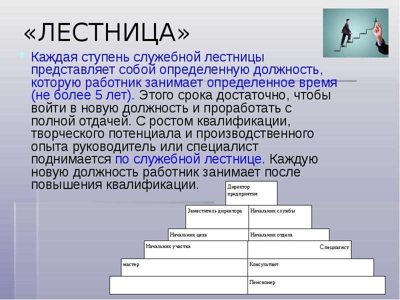 Деловая карьера презентация