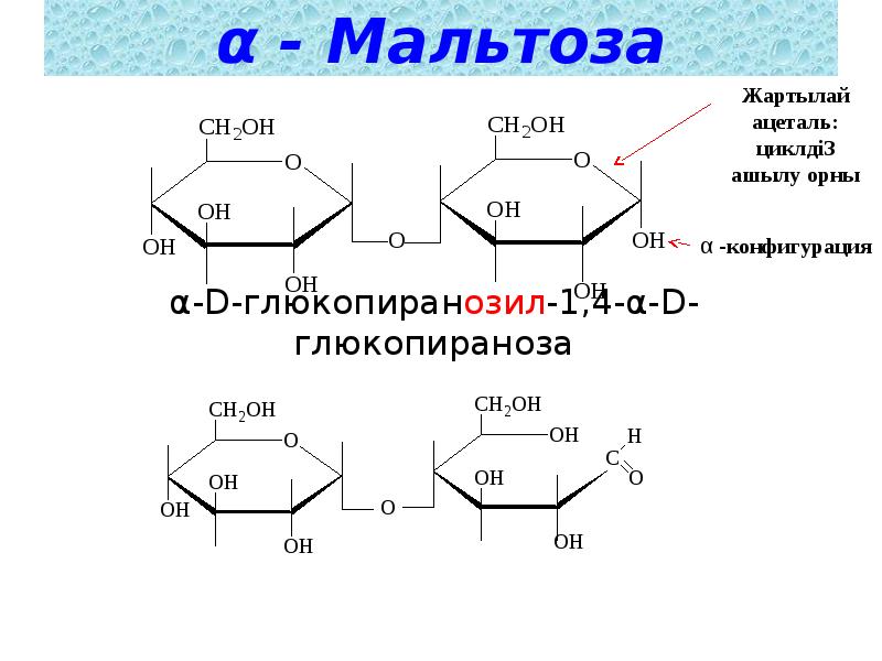 Фосфоролиз мальтозы схема