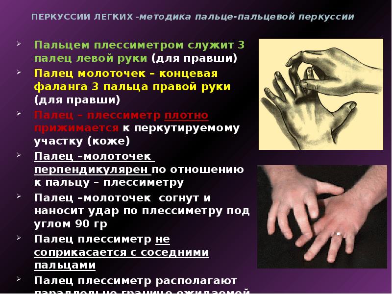 Перкуссия легких презентация