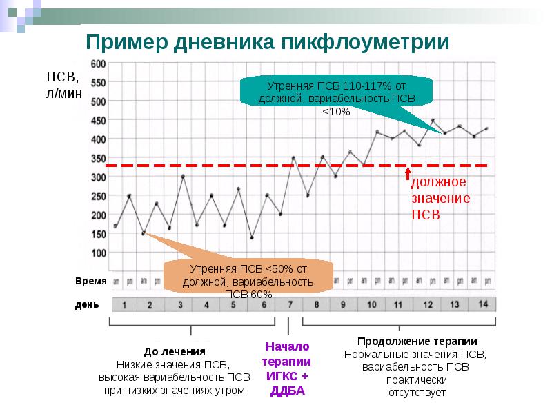 Презентация на тему пикфлоуметрия