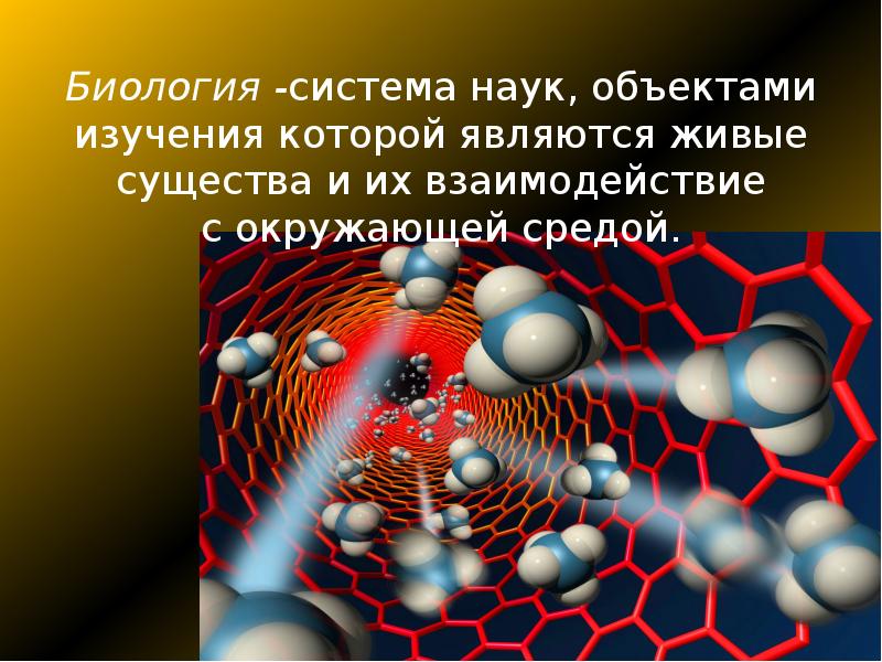 Использование биологии. Роль биологии в современном обществе. Роль современной биологии. Роль биологических знаний. Роль биологии в современной жизни.