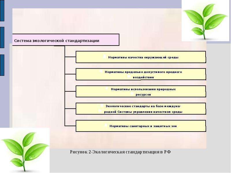 Экологическая стандартизация и паспортизация презентация