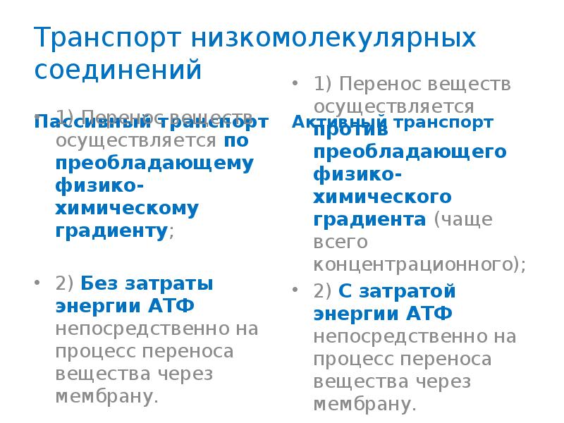 Избирательный транспорт веществ осуществляется. Избирательный транспорт веществ осуществляется. Ферменты мембранного пищеварения. Избирательный транспорт веществ осуществляется. Транспорт веществ в живых организмах.