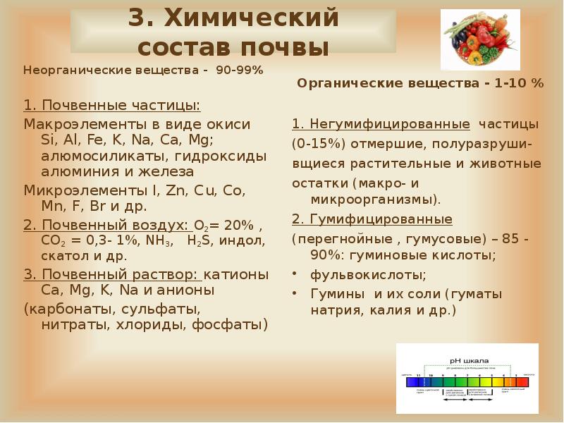 Почва гигиена презентация