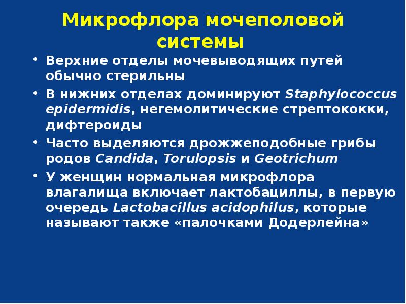 Микрофлора мочеполовой системы презентация