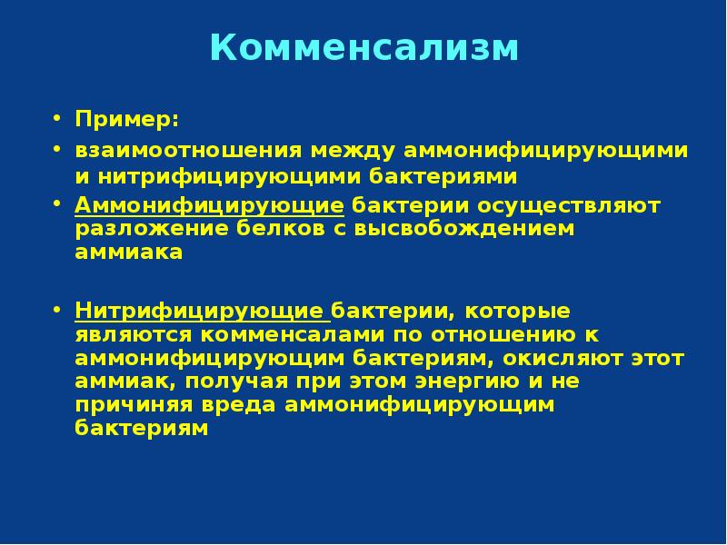 Нитрифицирующие тип питания. Нитрифицирующие тип питания