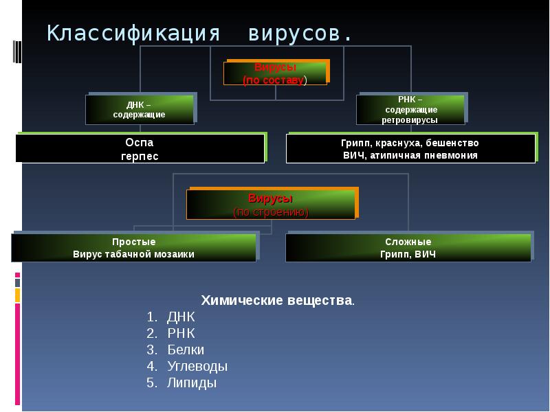 Классификация вирусов схема. Классификация вирусов.