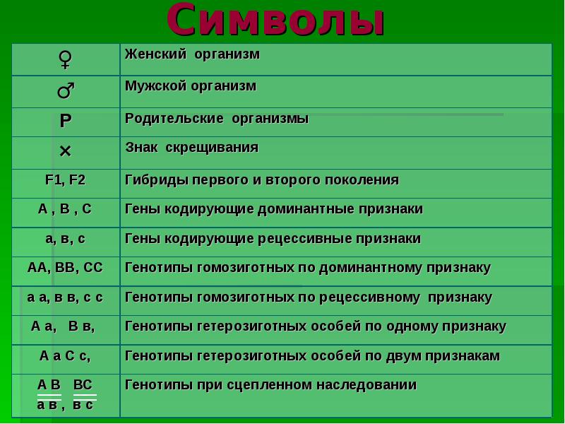 Решение заданий по фото по биологии