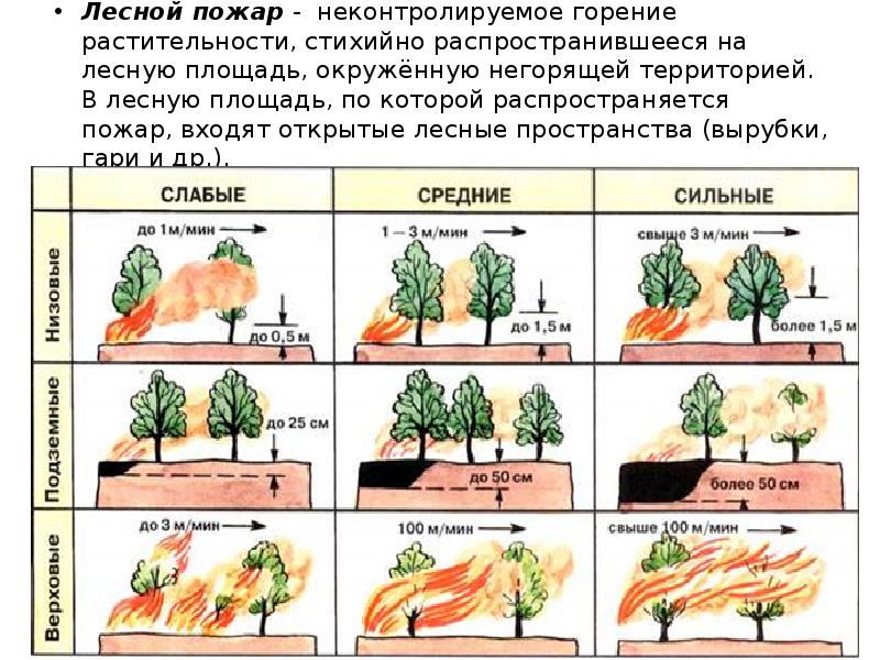 Лесной пожар - неконтролируемое горение растительности, стихийно распространившееся на лесную площадь,