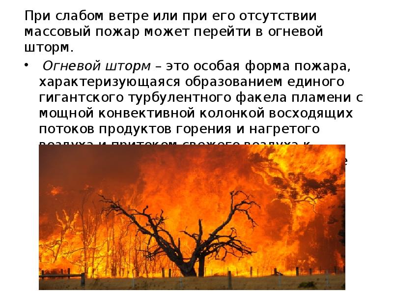 При слабом ветре или при его отсутствии массовый пожар может перейти