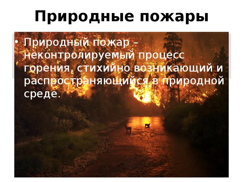 Природные пожары Природный пожар – неконтролируемый процесс горения, стихийно возникающий и
