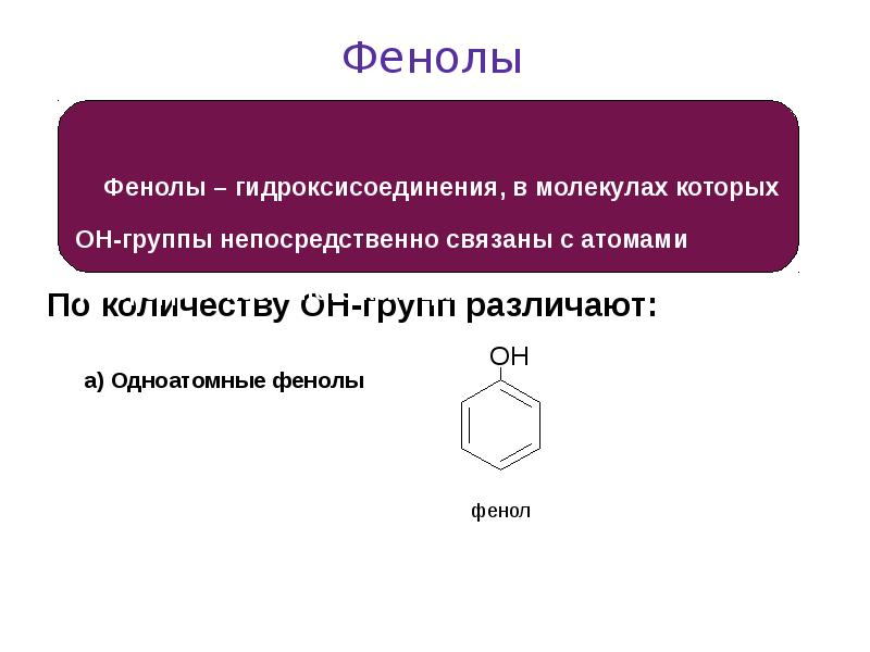 Фенола тюльпан фото