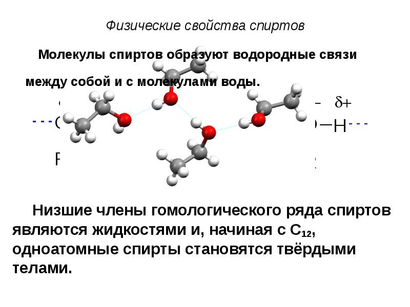 Водородная связь между молекулами альдегидов. Карбонильные соединения со спиртами. Водородная связь в спиртах. Между молекулами спирта и воды образуются водородные связи. Гомологический ряд карбонильных соединений.