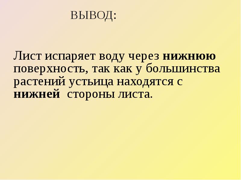 Испарение воды растениями листопад 6 класс презентация