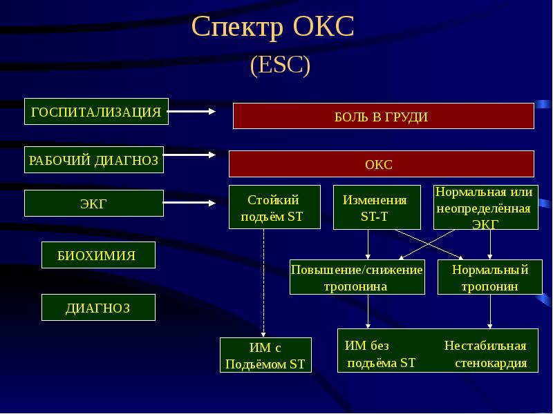 Тесты острый коронарный синдром