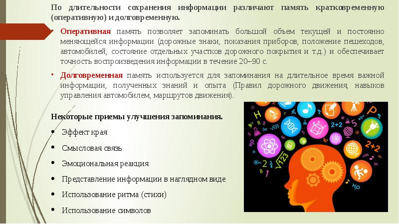 Презентация психофизиологические основы деятельности водителя