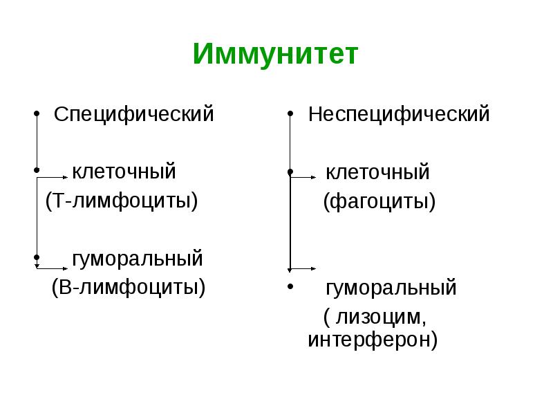 Специфический иммунитет презентация