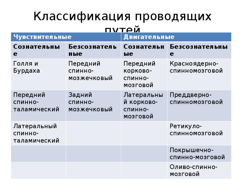 Провести классификацию